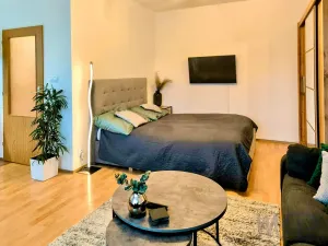 Pronájem bytu 1+kk, Třebíč, Lavického, 38 m2