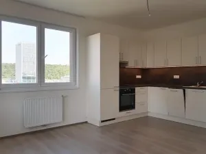 Pronájem bytu 3+kk, Praha - Vysočany, Svatošových, 72 m2