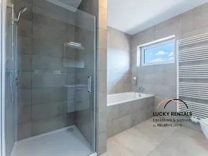 Pronájem bytu 3+kk, Řehenice, 91 m2