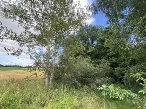 Prodej pozemku, Olbramice, 225 m2