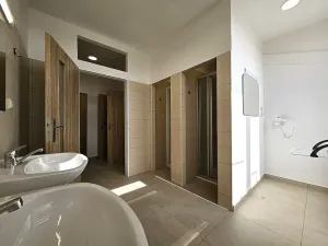 Pronájem bytu, Brno - Zábrdovice, Cejl, 16 m2
