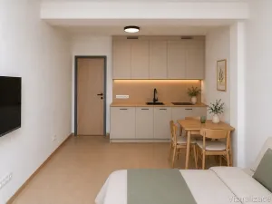 Prodej bytu 1+kk, Brno, Koliště, 26 m2