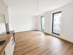 Pronájem bytu 1+kk, Olomouc, Rejskova, 32 m2