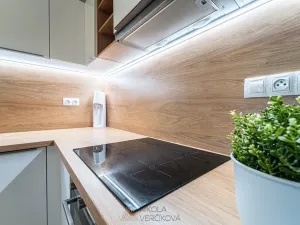 Prodej bytu 3+kk, Brno, Hrnčířská, 66 m2