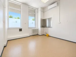 Pronájem skladu, Brno, Šujanovo náměstí, 137 m2
