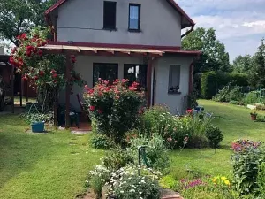 Pronájem rodinného domu, Zdiby, 66 m2