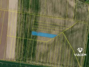 Prodej podílu pole, Stojice, 1264 m2