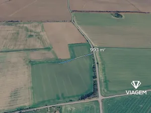 Prodej podílu pole, Boršice, 496 m2