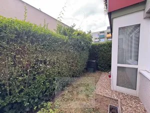 Pronájem bytu 1+kk, Brno, Hvozdecká, 40 m2