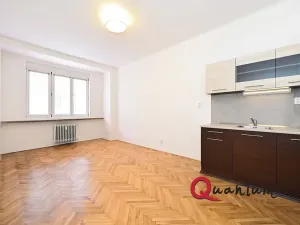 Pronájem bytu 1+kk, Praha - Žižkov, Baranova, 29 m2