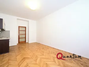 Pronájem bytu 1+kk, Praha - Žižkov, Baranova, 29 m2