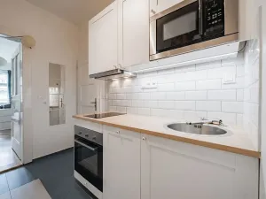 Pronájem bytu 1+1, Praha - Vinohrady, Škrétova, 32 m2
