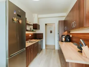 Prodej bytu 1+1, Praha - Braník, Branická, 46 m2