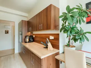 Prodej bytu 1+1, Praha - Braník, Branická, 46 m2