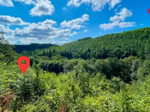 Prodej lesa, Hranice - Hranice IX-Uhřínov, 5050 m2