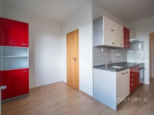 Pronájem bytu 2+1, České Budějovice - České Budějovice 5, Dobrovodská, 56 m2