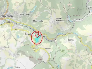 Prodej podílu lesa, Železný Brod, 11060 m2
