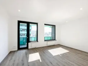 Pronájem bytu 1+kk, Praha - Žižkov, Olgy Havlové, 40 m2
