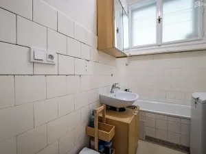Prodej bytu 1+1, Brno, Pod kaštany, 49 m2