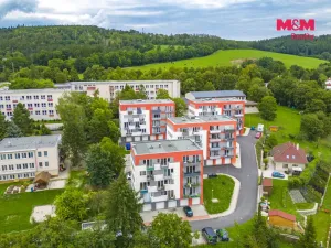 Pronájem bytu 1+kk, Plasy, U Václava, 38 m2