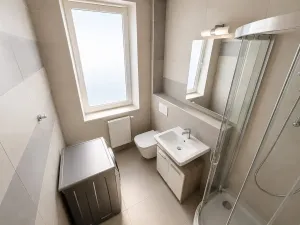 Pronájem bytu 2+kk, Brno, Franzova, 38 m2