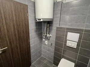 Pronájem bytu 1+kk, Lavičky, 39 m2