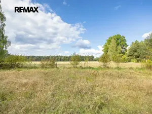 Prodej pozemku pro bydlení, Suchdol nad Lužnicí, 1001 m2