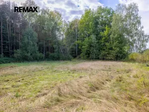 Prodej pozemku pro bydlení, Suchdol nad Lužnicí, 1001 m2