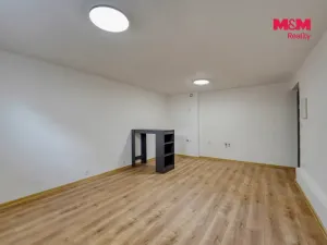 Prodej obchodního prostoru, Plzeň - Východní Předměstí, Ořechová, 26 m2