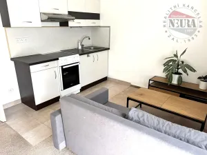Pronájem bytu 1+kk, Praha - Dolní Počernice, Za luhem, 24 m2