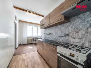 Prodej bytu 2+1, Plzeň - Doudlevce, Luďka Pika, 61 m2