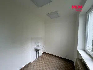 Pronájem obchodního prostoru, Ostrava - Moravská Ostrava, Zelená, 25 m2