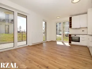 Pronájem bytu 1+kk, Dobřany, Denksteinova, 38 m2