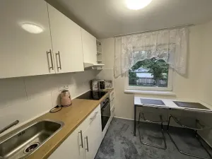 Pronájem chaty, Petříkov, 55 m2