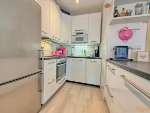 Prodej bytu 2+kk, Kralupy nad Vltavou, Přemyslova, 50 m2