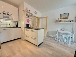 Prodej bytu 2+kk, Kralupy nad Vltavou, Přemyslova, 50 m2