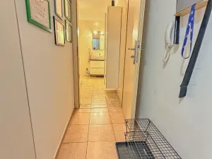Prodej bytu 2+kk, Kralupy nad Vltavou, Přemyslova, 50 m2