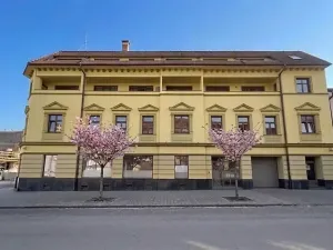 Prodej bytu 1+kk, Brno, 29 m2