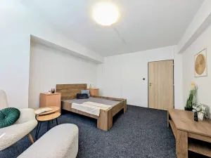 Pronájem bytu 2+1, Mladá Boleslav, Havlíčkova, 65 m2