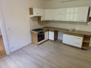 Pronájem bytu 3+1, Liberec - Liberec II-Nové Město, Dobrovského, 88 m2