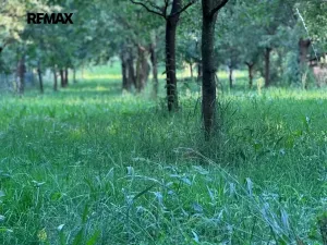 Prodej pozemku pro bydlení, Podolí, 1608 m2