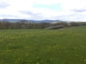 Dražba louky, Staré Město, 10063 m2