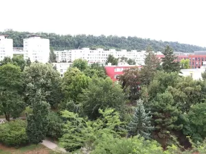 Prodej bytu 1+kk, Praha - Karlín, Nekvasilova, 29 m2
