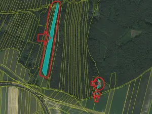 Prodej lesa, Všemyslice, 12022 m2