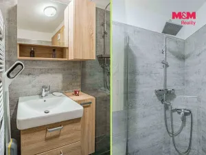 Prodej bytu 1+kk, Havířov - Šumbark, Letní, 30 m2