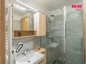 Prodej bytu 1+kk, Havířov - Šumbark, Letní, 30 m2