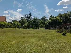 Prodej zemědělské usedlosti, Dolní Roveň, 200 m2