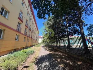 Pronájem bytu 1+1, Plzeň, Kyjevská, 45 m2