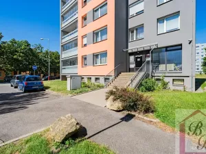 Prodej bytu 4+1, Mladá Boleslav, Mládežnická, 78 m2