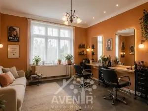 Prodej rodinného domu, Kroměříž, Žižkova, 244 m2